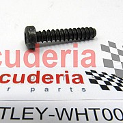 WHT005307 round hd. screw