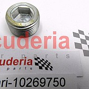 10269750 THREADED PLUG - Ø 18 mm