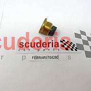 104280 MAGNETIC THREADED PLUG M22 X 1.5