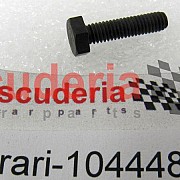 10444887 SCREW