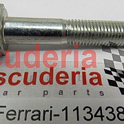 11343821 SCREW