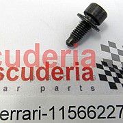 11566227 SCREW