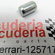 125717 CENTRING DOWEL