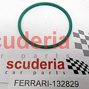 132829 O-RING