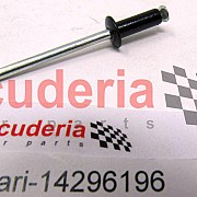 14296196 RIVET