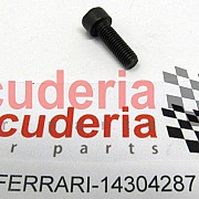 14304287 SCREW