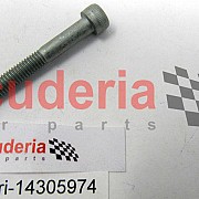 14305974 SCREW