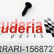 15687275 Screw