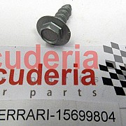 15699804 SCREW
