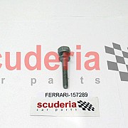 157289 Screw