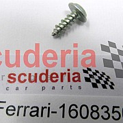 16083501 TRIM SCREW 4 X 12MM