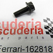 16281827 SCREW