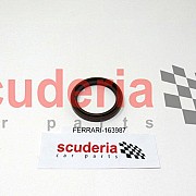 163987 Camshaft Oil Seal