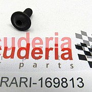 169813 SCREW M5 X 12