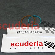 181828 Sealing Ring D.44