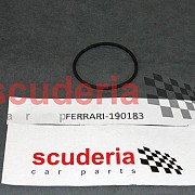 190183 O-RING D.69.85 - 8 X 100