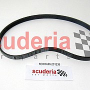 201236 Compressor Control Belt