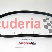 201446 Belt Alternator-Water Pump