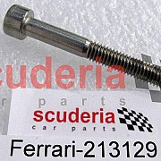 213129 SCREW