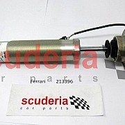 213396 Front Shock Absorber