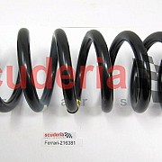216381 Front Spring