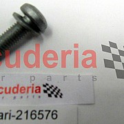 216576 SCREW