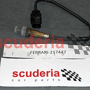 217447 Front Oxygen Sensor