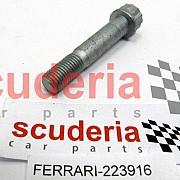223916 Screw