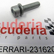 231620 SCREW