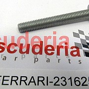231625 SCREW