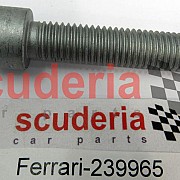 239965 SCREW