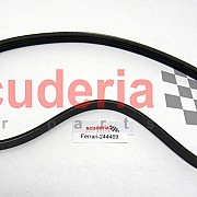 244469 ALTERNATOR BELT