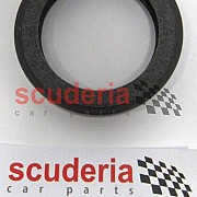 245884 Crank-Shaft Seal