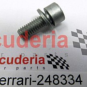 248334 SCREW