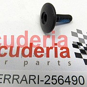 256490 SCREW