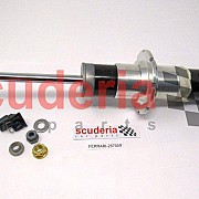 257059 Rear Shock Absorber
