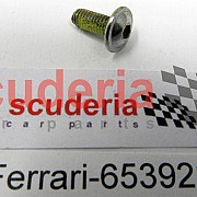 65392800 SCREW