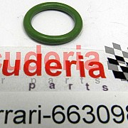 66309800 O-RING