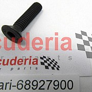 68927900 SCREW