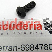 69847800 SCREW