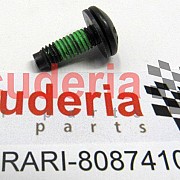 80874100 SCREW