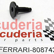 80874200 SCREW