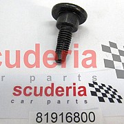 81916800 SCREW