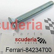 84234700 SCREW