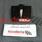 403827598A Cover (With Predisposition for Rear View Camera)