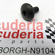 N91042302 OVAL HEXAGON SOCKET HEAD BOLT M6 X 16