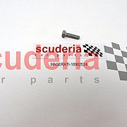 10902524 Screw