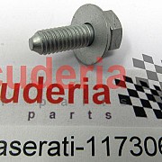 11730624 SCREW