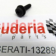 13289277 SCREW