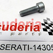 14305324 Allen Screw 6 x 20